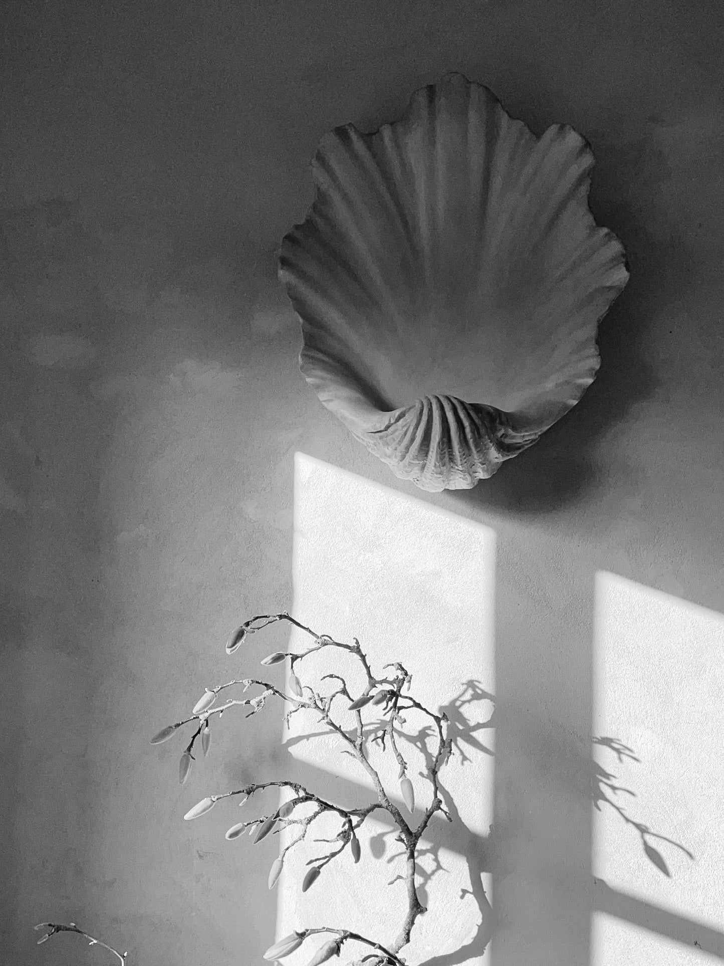 Scallop Shell Wall Light - Antiqued Plaster