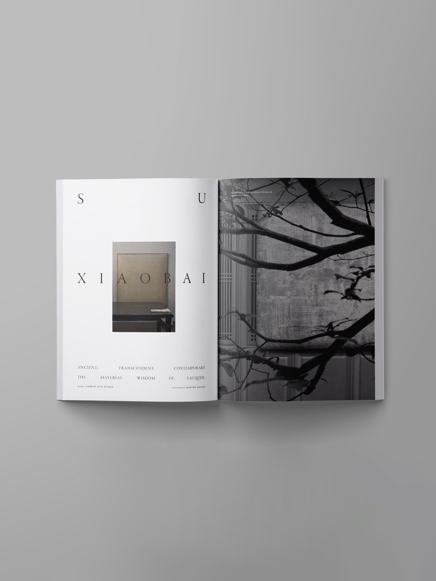 Ark Journal: Volume XV - Spring Summer 2026