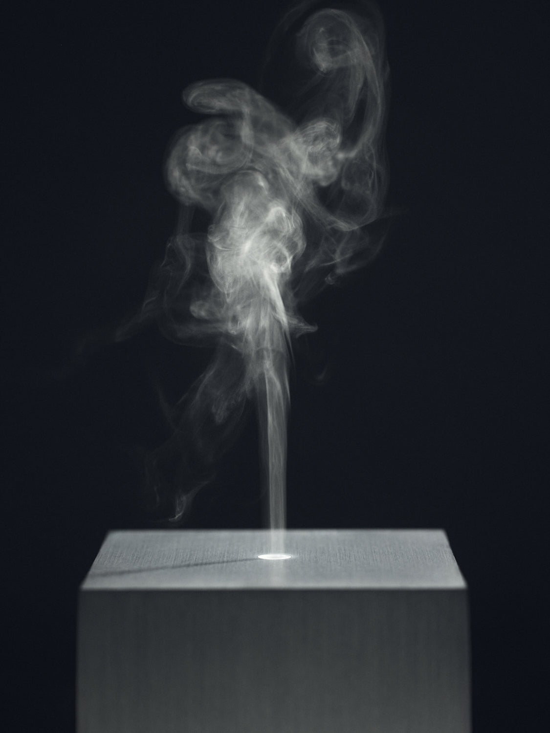 Oil No. 03 - Parsley Seed