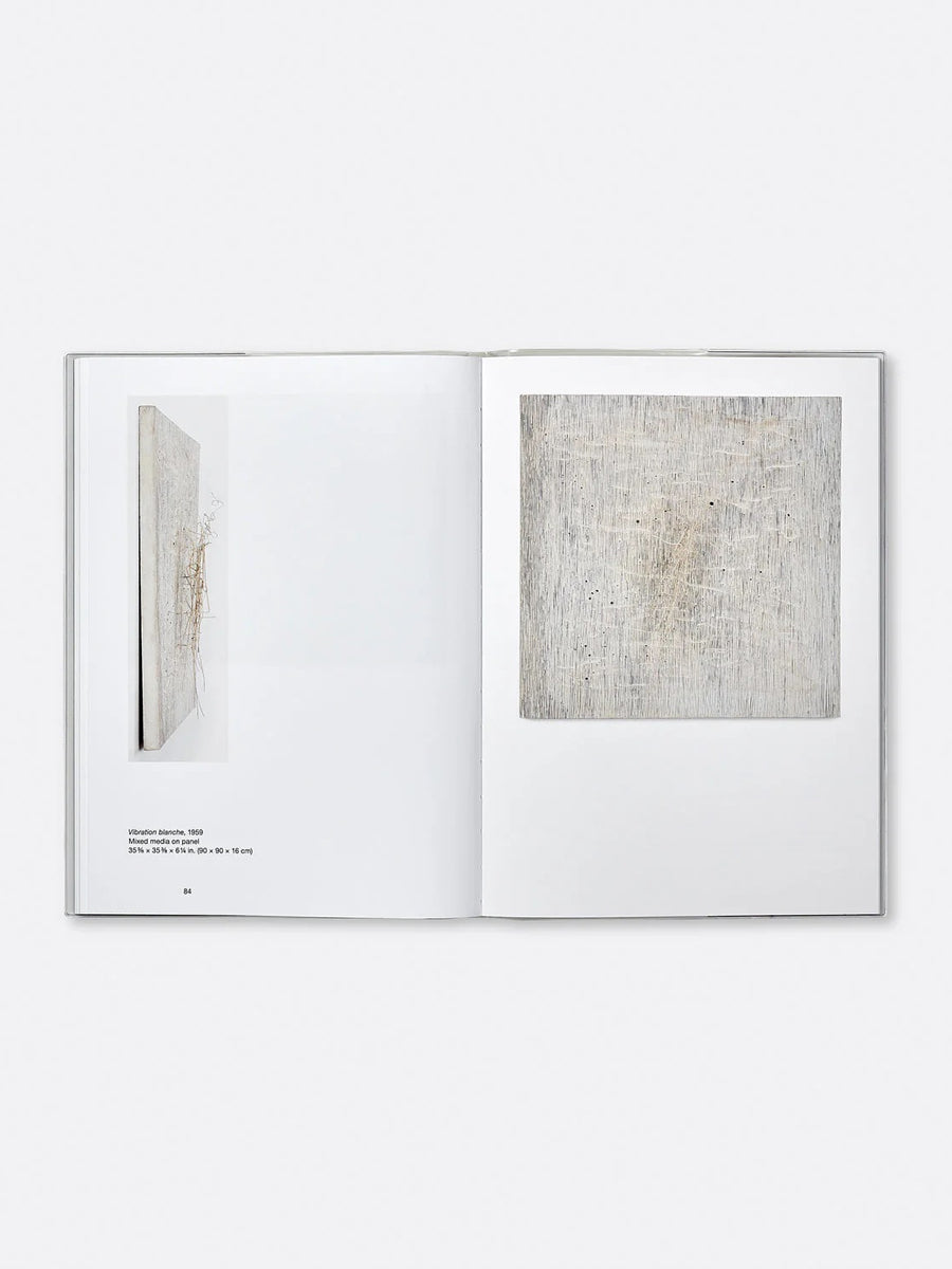 Soto: Vibrations 1950–1960