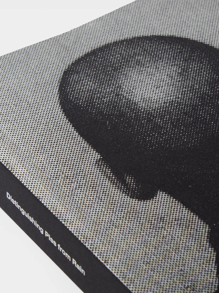 Glenn Ligon: Distinguishing Piss from Rain; Writings and Interviews