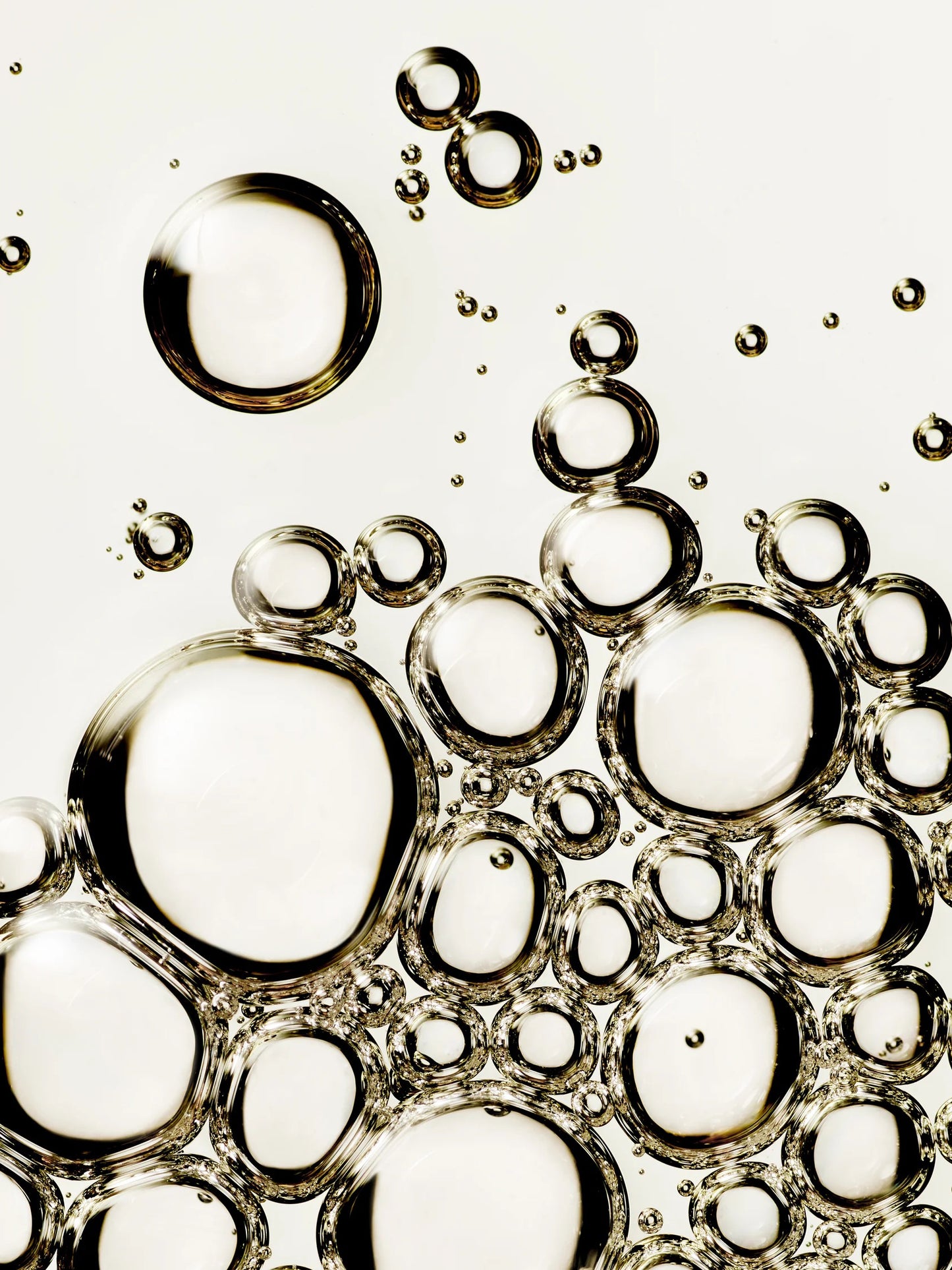 Botanical Body Oil