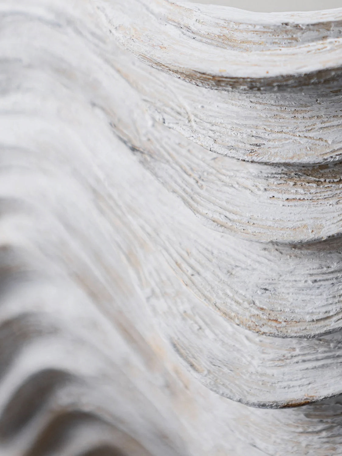 Clam Shell Wall Light Small - Drift White