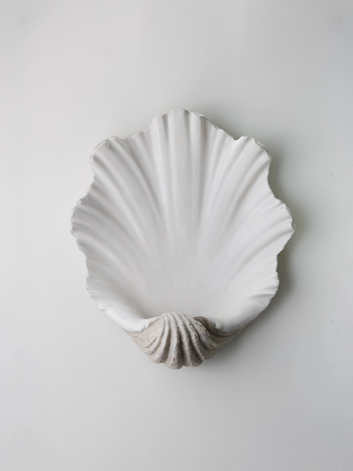 Scallop Shell Wall Light - Antiqued Plaster