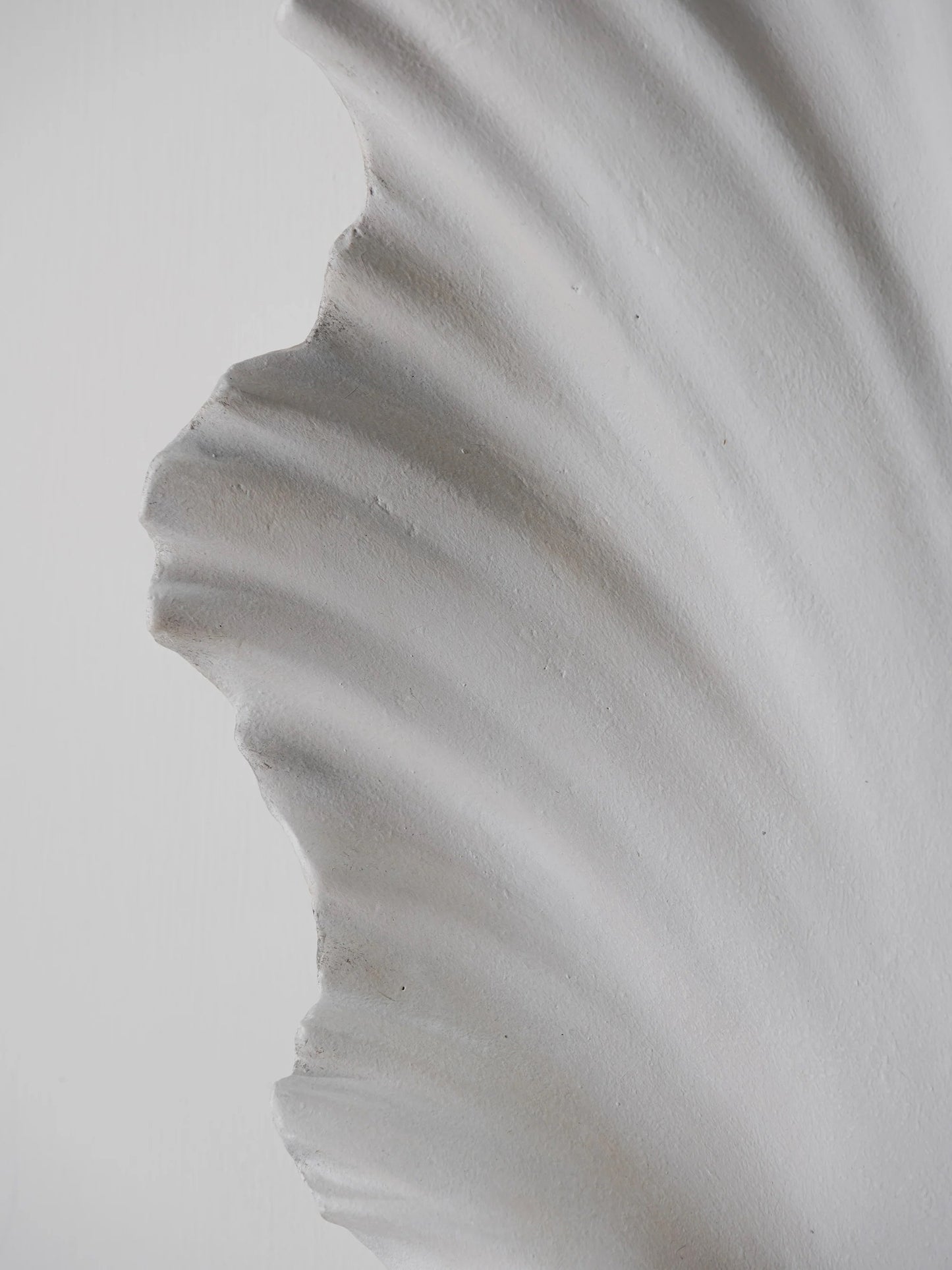 Scallop Shell Wall Light - Antiqued Plaster