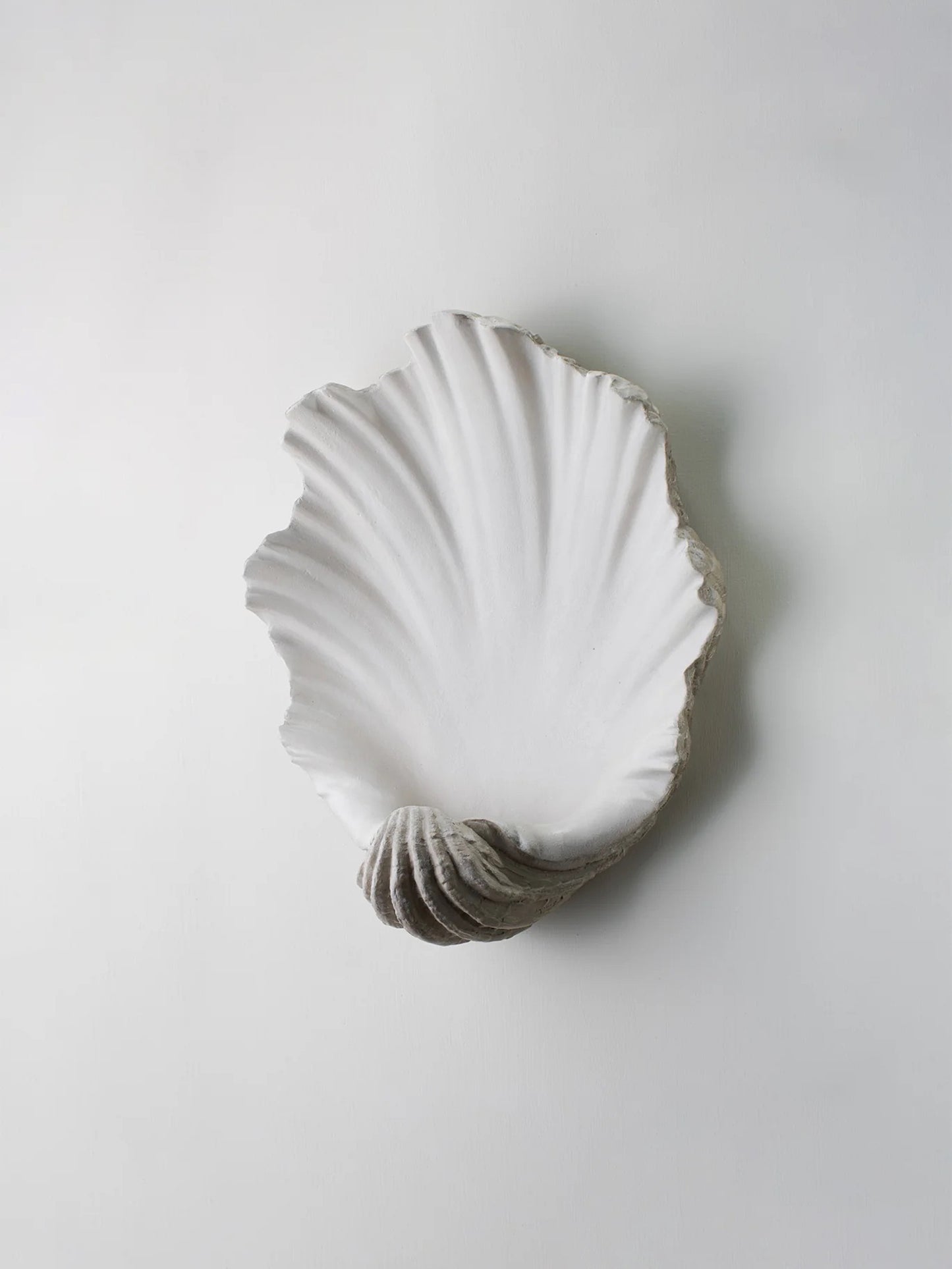 Scallop Shell Wall Light - Antiqued Plaster